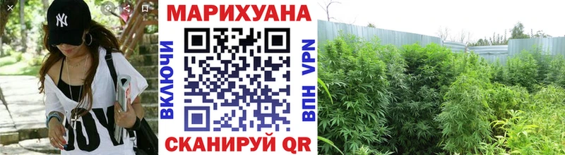 МАРИХУАНА тримм  Новоузенск 